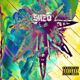 Album cover of Шизо