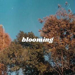 Album cover of BLOOMING
