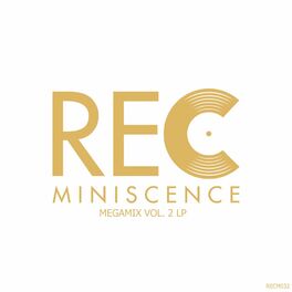 Album cover of MegaMix, Vol. 2 LP