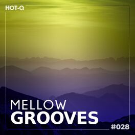 Album cover of Mellow Grooves 028