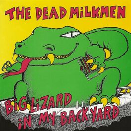 Album cover of Big Lizard In My Backyard