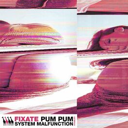 Album cover of Pum Pum / System Malfunction