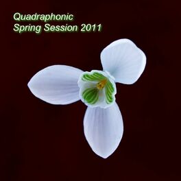 Album cover of Quadraphonic Spring Session 2011