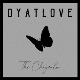 Album cover of The Chrysalis