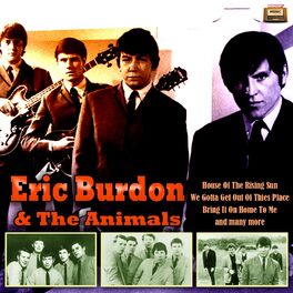 Album cover of Eric Burdon & The Animals