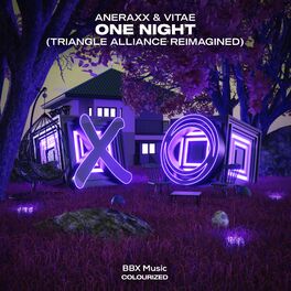 Album picture of One Night (Triangle Alliance Reimagined)