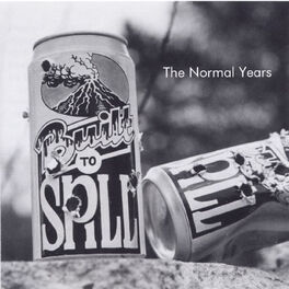 Album cover of The Normal Years