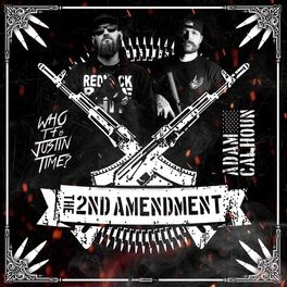 Album cover of The 2nd Amendment