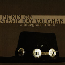 Album cover of Pickin' On Stevie Ray Vaughan - A Bluegrass Tribute