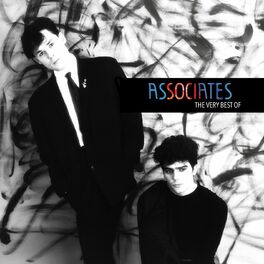 Album cover of The Very Best of The Associates