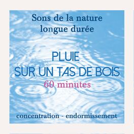 Album cover of SONS DE LA NATURE APAISANTS DE LONGUE DURÉE : Pluie sur un tas de bois (Pour S'apaiser, Se Relaxer, Se Concentrer Ou S'endormir)