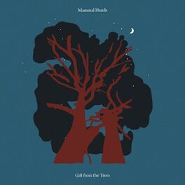 Album cover of Gift from the Trees