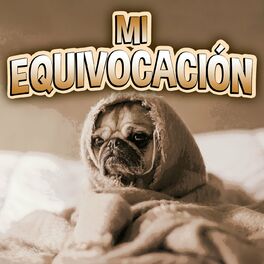 Album cover of Mi Equivocación
