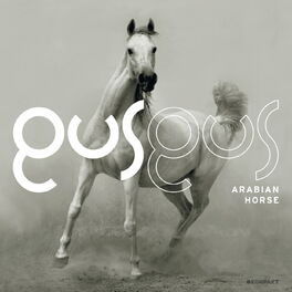 Album cover of Arabian Horse