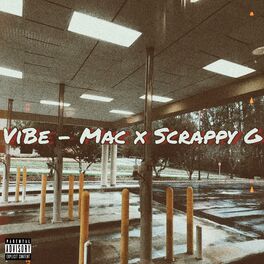 Album cover of ViBe (feat. Scrappy G)