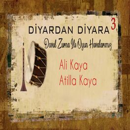 Album cover of Diyardan Diyara, Vol. 3 (Davul Zurna İle Halk Oyunlarımız)