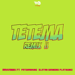 Album cover of Tetema Remix II