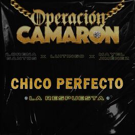Album cover of Chico Perfecto (La Respuesta)