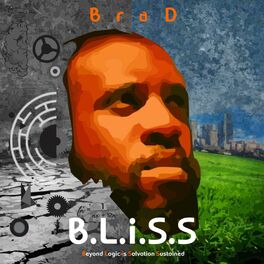 Album cover of B.L.I.S.S