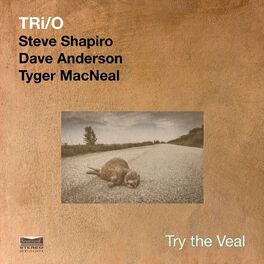 Album cover of Tri/0: Try the Veal