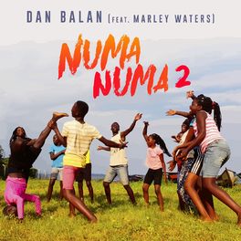 Album cover of Numa Numa 2
