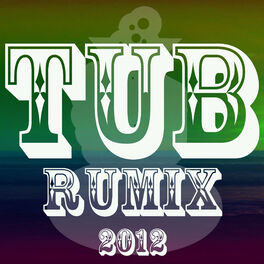 Album cover of Tub Rumix 2012 - EP