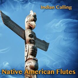 Album cover of Native American Flutes (11 Relaxing Indian Songs Performed on Native American Flute)