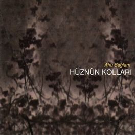 Album cover of Hüznün Kolları