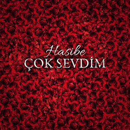 Album picture of Çok Sevdim