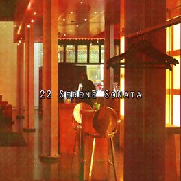 Album cover of 22 Serene Sonata