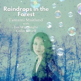 Album cover of Raindrops in the Forest (feat. Ian Wijesinghe & Colin Lovell)