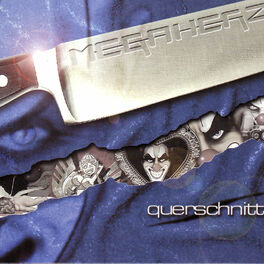 Album cover of Megaherz - Querschnitt (MP3 Album)
