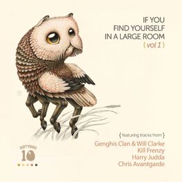 Album cover of If You Find Yourself In A Large Room, Vol. 1