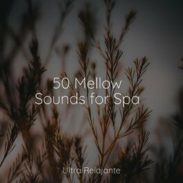 Album cover of 50 Mellow Sounds for Spa