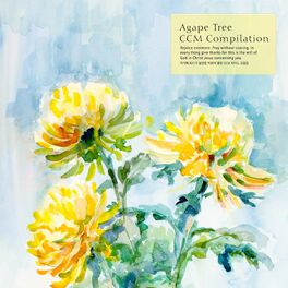 Album cover of CCM Piano Collection Good For Healing Insomnia Of Agape Tree