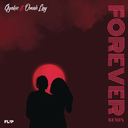 Album picture of Forever (Remix)