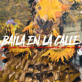 Album cover of Baila En La Calle