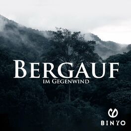 Album cover of Bergauf im Gegenwind