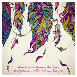 Album cover of Woodpeckers Love Affair