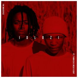 Album cover of iDlozi