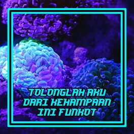 Album cover of Tolonglah Aku Dari Kehampaan Ini Funkot