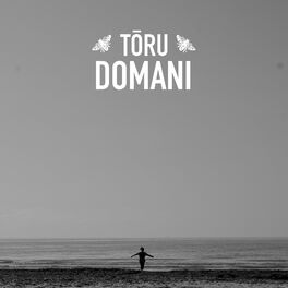 Album cover of Domani