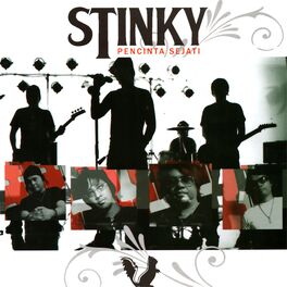 Album cover of New Album Stinky