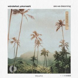 Album cover of Are We Dreaming
