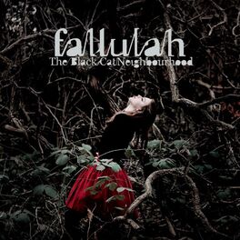 Album cover of The Black Cat Neighbourhood