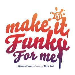 Album cover of Make It Funky for Me