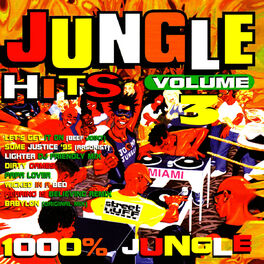 Album cover of Jungle Hits, Vol. 3