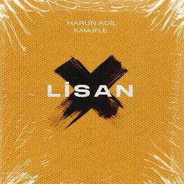 Album cover of Lisan