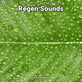 Album cover of #01 Regen Sounds zur Entspannung