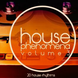 Album cover of House Phenomena, Vol. 3